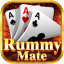 100 free cash rummy icon