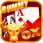 wow rummy old version icon